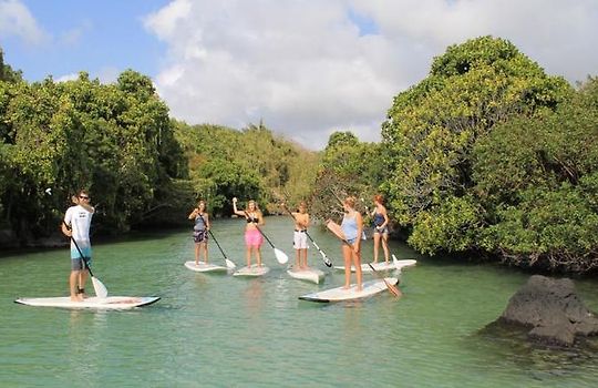 HOTEL VELOUTIER BLANC BEACHFRONT VILLA BY STAYMAURITIUS, MAURITIUS ***